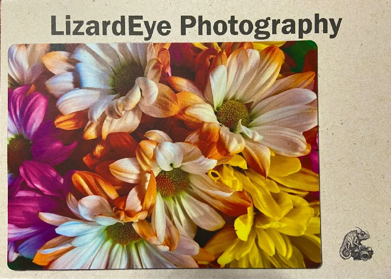 Daisies in Technicolor Photography Print